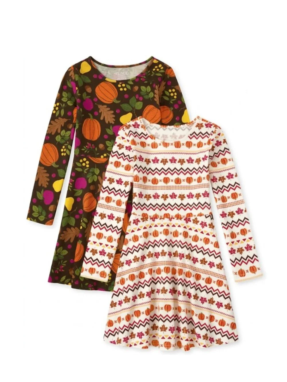 The Children's Place Girls 2-Pack Long Sleeve Fall Print Everyday Skater Dresses